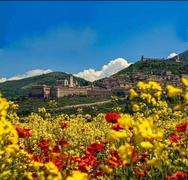 Le Dimore Arcangelo Maria Assisi Buitenkant foto